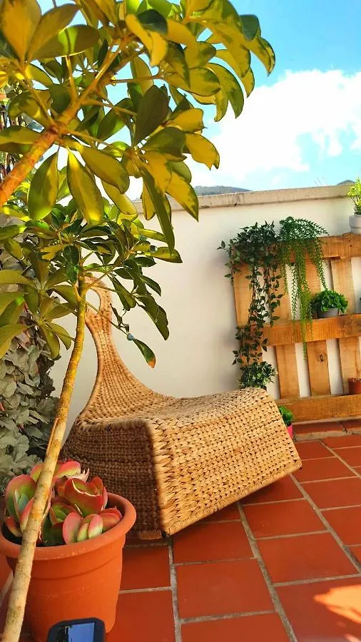 Atico En El Corazon De Santa Cruz/ Cozy Penthouse Apartment 0*, Santa Cruz de Tenerife Spain