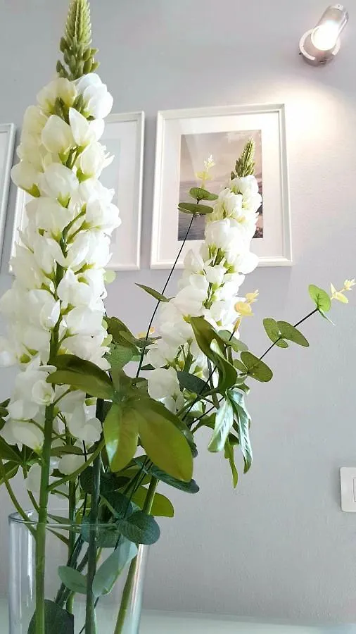 Atico En El Corazon De Santa Cruz/ Cozy Penthouse Apartment Spain