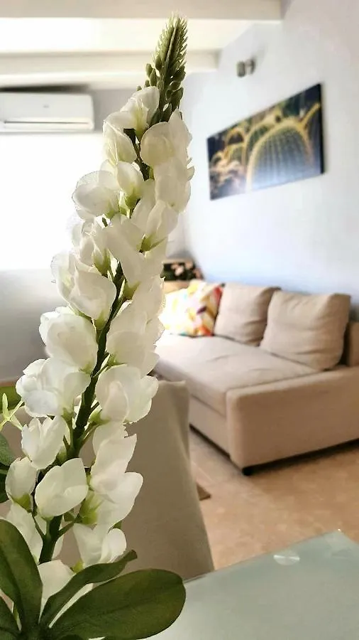 Atico En El Corazon De Santa Cruz/ Cozy Penthouse Apartment